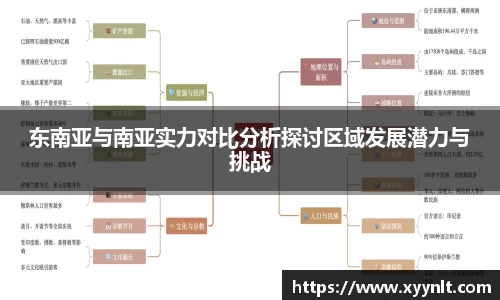 东南亚与南亚实力对比分析探讨区域发展潜力与挑战