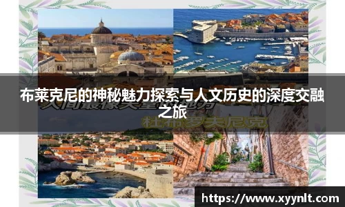 布莱克尼的神秘魅力探索与人文历史的深度交融之旅